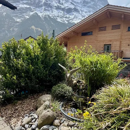 Joluksi - With Tub *